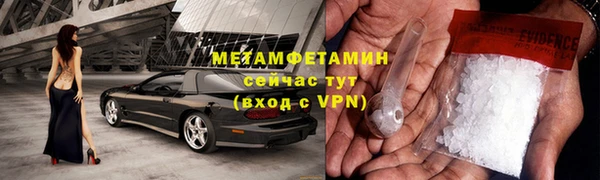 прущие грибы Чекалин