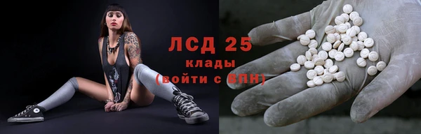 прущие грибы Чекалин