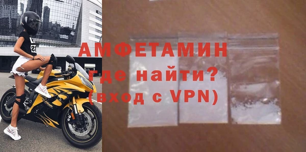 прущие грибы Чекалин