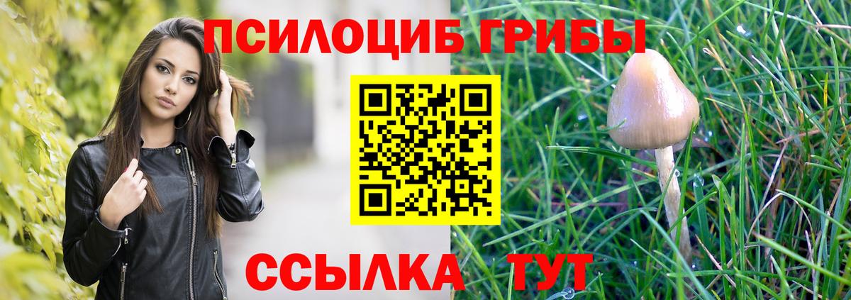 Галлюциногенные грибы Psilocybine cubensis Рыбинск